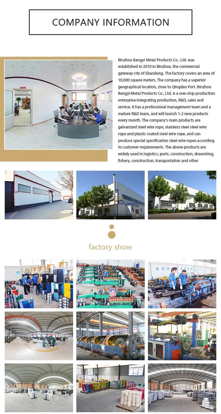 6X19 +Iws Multicolor PVC Coated Nylon Galvanized Steel Wire Rope