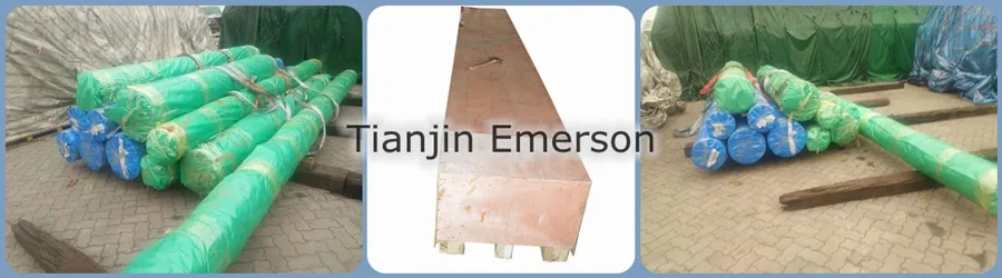 AISI 1020 1045 1040 S20c S45c A36 Carbon Steel Round Bars