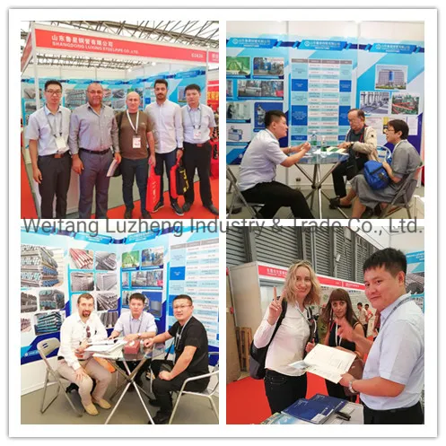 Axle Seamless Steel Pipe in AISI 1040 or 20mn2 ASTM A519