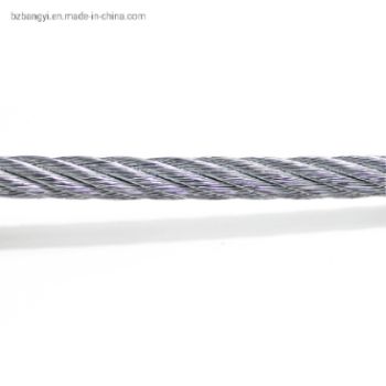 Steel Rope Wire Galvanized Steel Wire Rope Braided Steel Wire Rope