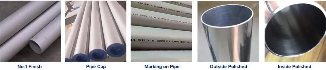 High-Quality 310 & 310S Stainless Steel Seamless Pipe