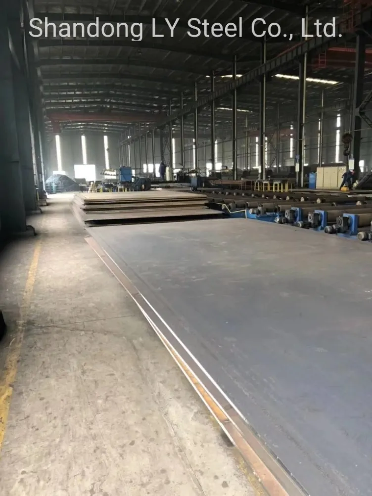 Hot Rolled SAE 1050 1040 Wear-Resisting Plate/Sheet High Quality