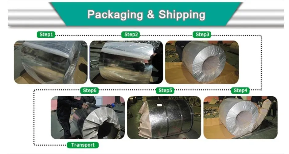 Prepainted Galvanized Steel Coil, Strong & Beautiful