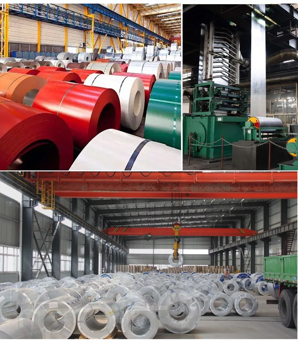 Ral 1025 Anti-Microbial Prepainted Color Coated Galvanized PPGI Steel Coil