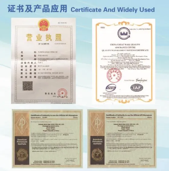 SAE 1010/1045/1020 ASTM A210 Gr. C A335 A213 Hot Finished High Pressure Alloy Steel Pipe