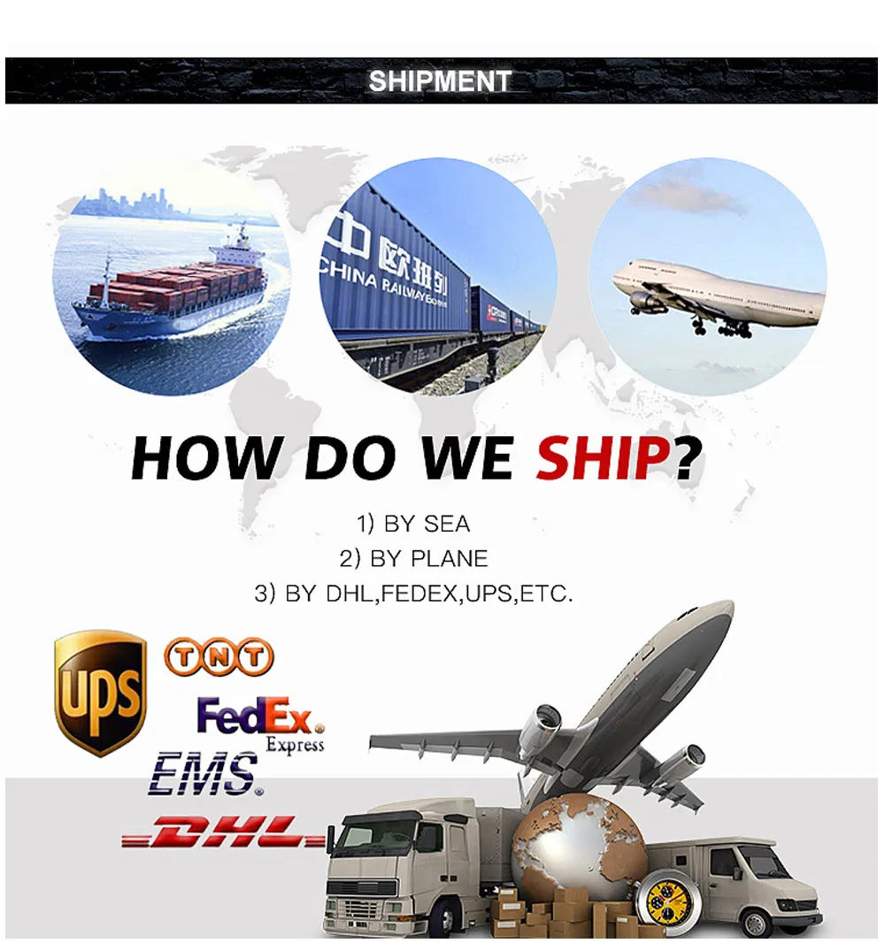 SAE 1020 S20c Ss440 A36 S235jr 1045 S45c C45 4140 En19 Scm440 40cr B7 42CrMo4 12L14 1215 Cold Drawn Steel Round Steel Bar