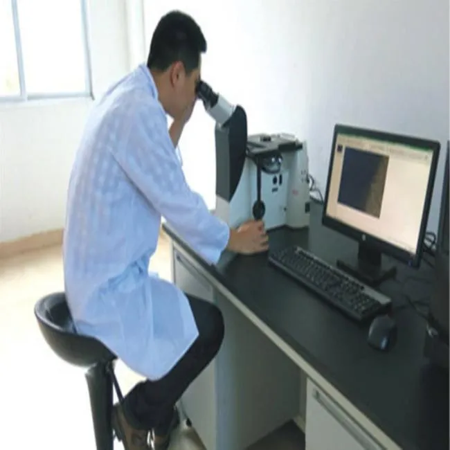 SAE 5210 5140 8640 1040 En10025 S355jr Ss490 10mm Hot Rolled Forged Alloy Carbon Steel/201 304 316L 310S 2205 321 904L 316ti 2507 C276 Stainless Steel Round Bar