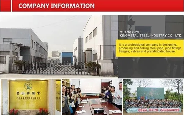 SAE J403 Grade 1541 1.127 40mn2 GOST35gl BS120mn6 Seamless Steel Pipe