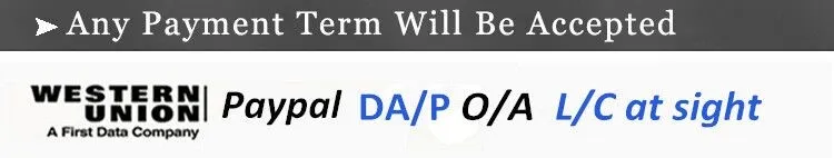 SAE1040 Weather Resistant Ms Steel Plate in Stock