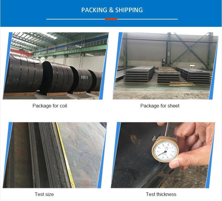 Thin Carbon Steel Sheet Coil for Manufacturing and Construction